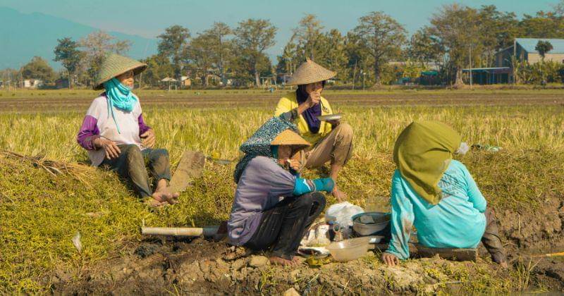 Unsplash/Redicul Pict